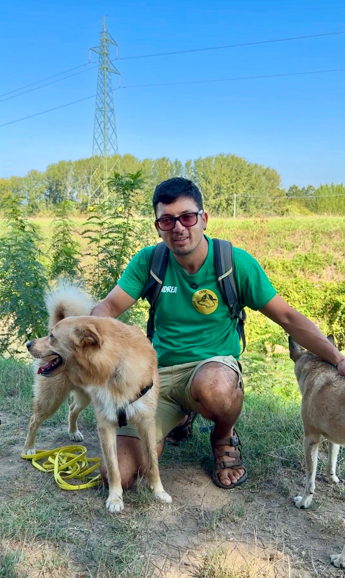 Andrea nel bosco insieme a due cani
